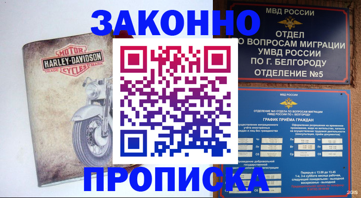 прописка для школы в Чапаевске